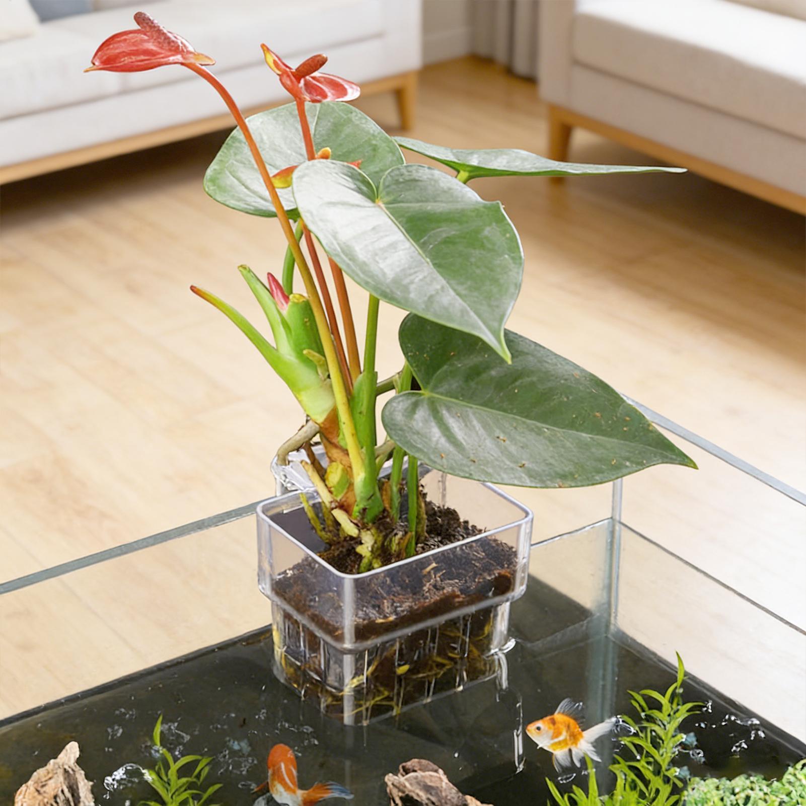 Aquarium Plant Holder - Aquarium-Pflanzenkorb Transparenter Fischbecken-Hängedekorationstopf Aquatische Pflanzenhalterung Aquatische