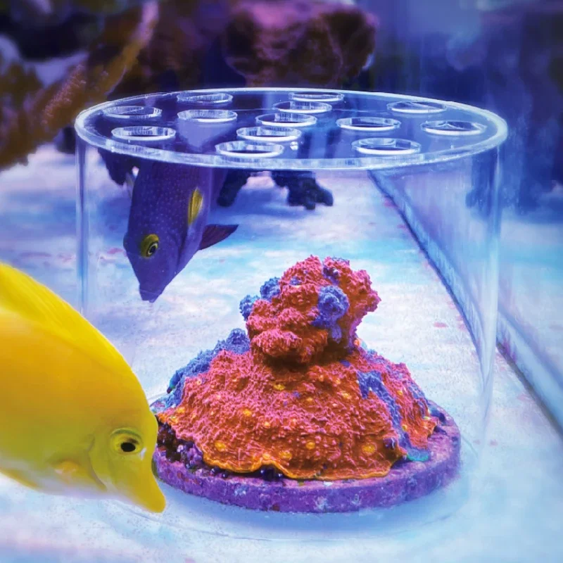 Aquarium Fertilizer - Vastocean Aquarium Acryl-Korallen-Futterhaube, flüssiger Dünger, Hinzufügen