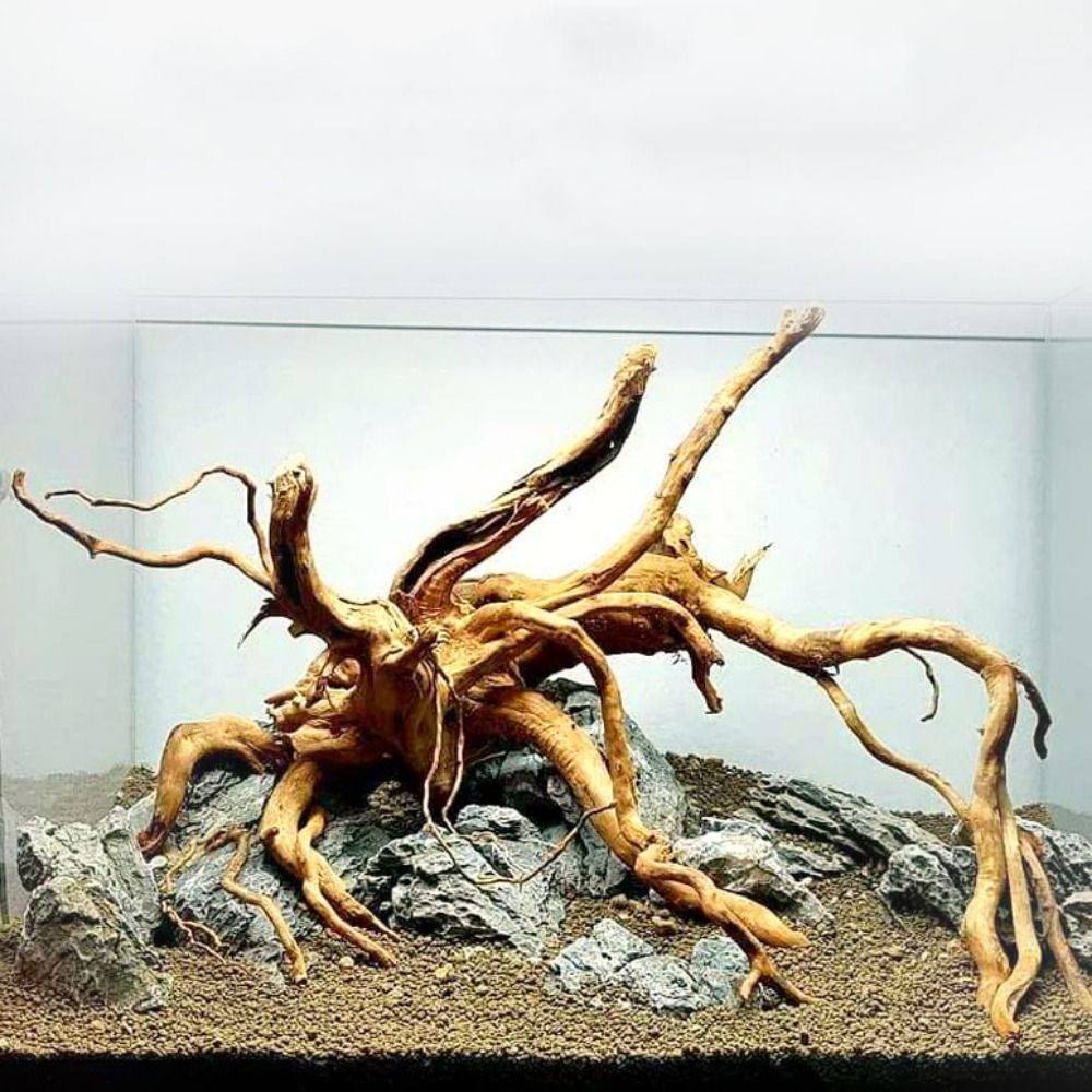 Aquarium Driftwood - 20-25CM Großes Aquarium-Treibholz, Natürliche Fischbecken-Pflanzendekoration, Baumstumpf