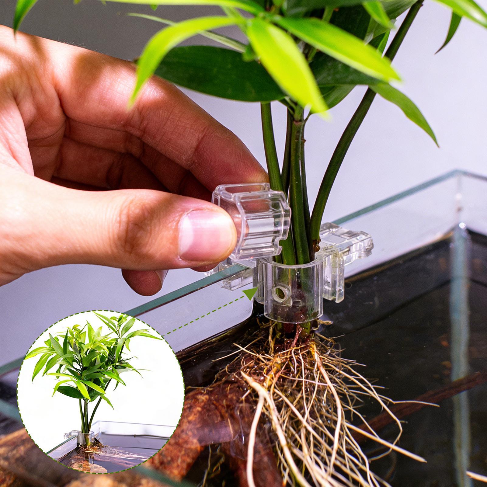 Aquarium Plant Holder - 6 Stück Aquarium-Pflanzenhalter Transparente Pflanzhalterung Aufhängbare