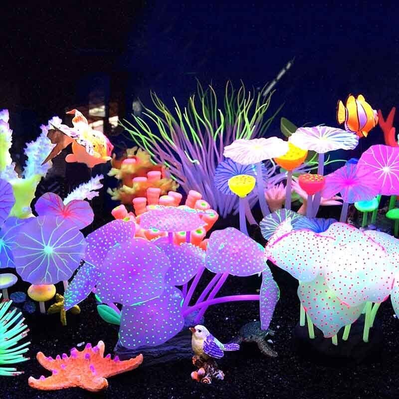 Leuchtende Silikon-Korallen un – Aquarium Plants Live Bewertung und Preis