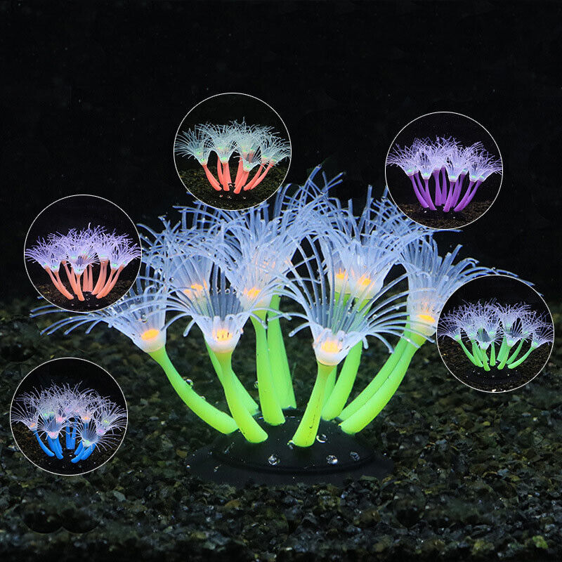 Leuchtende Silikon-Korallen un – Aquarium Plants Live Bewertung und Preis
