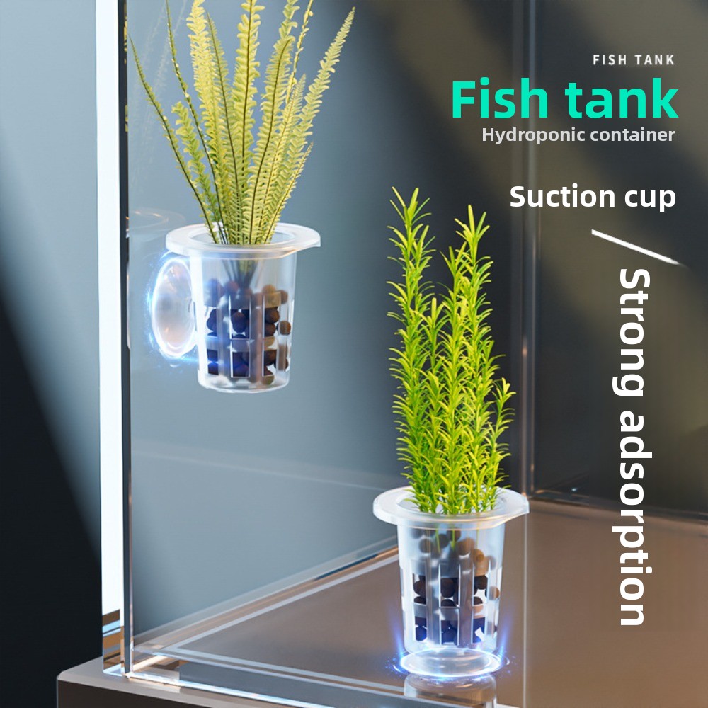 10 Stück Transparente Hydrokul – Aquarium Plant Holder Bewertung und Preis