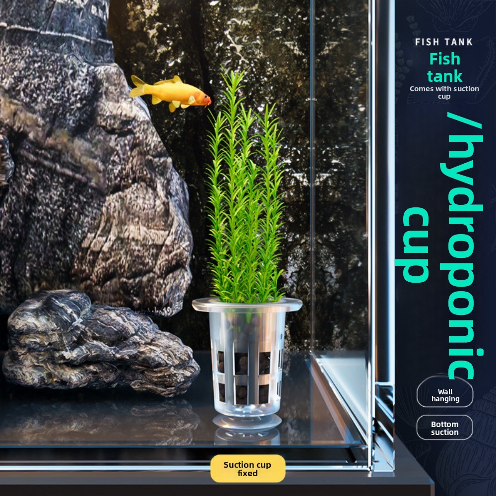 10 Stück Transparente Hydrokul – Aquarium Plant Holder Bewertung und Preis
