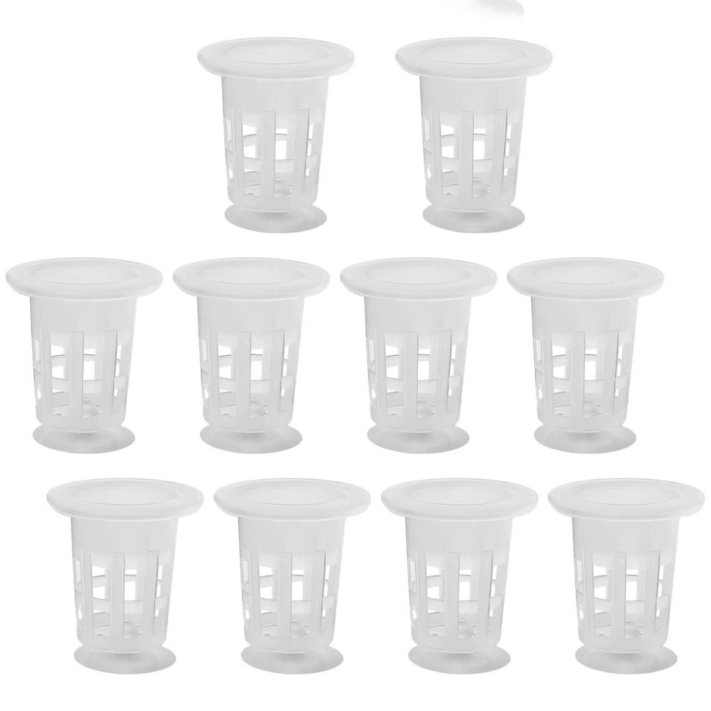10 Stück Transparente Hydrokul – Aquarium Plant Holder Bewertung und Preis