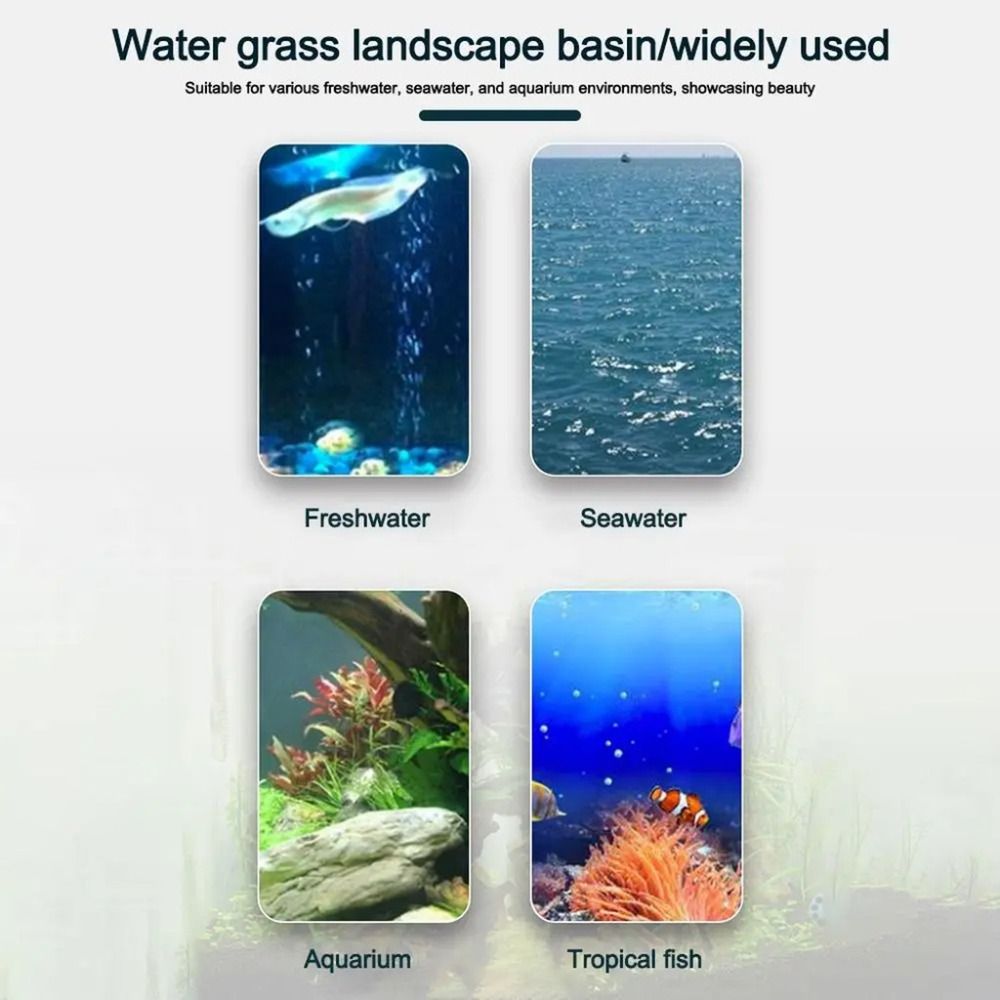 10 Stück Transparente Hydrokul – Aquarium Plant Holder Bewertung und Preis