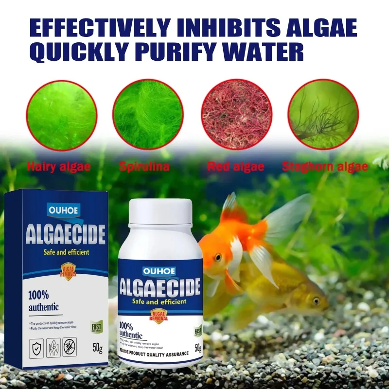 50g Hocheffizientes Algizid fü – Aquarium Moss Bewertung und Preis