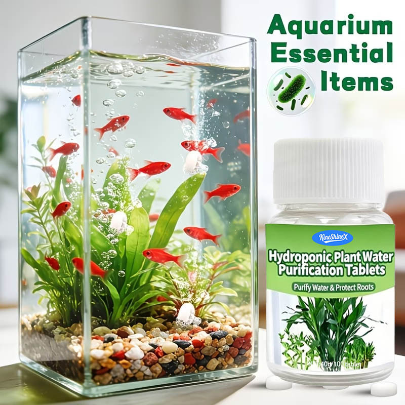 Hydroponische Wasserreinigungs – Plant Aquarium Pot Bewertung und Preis
