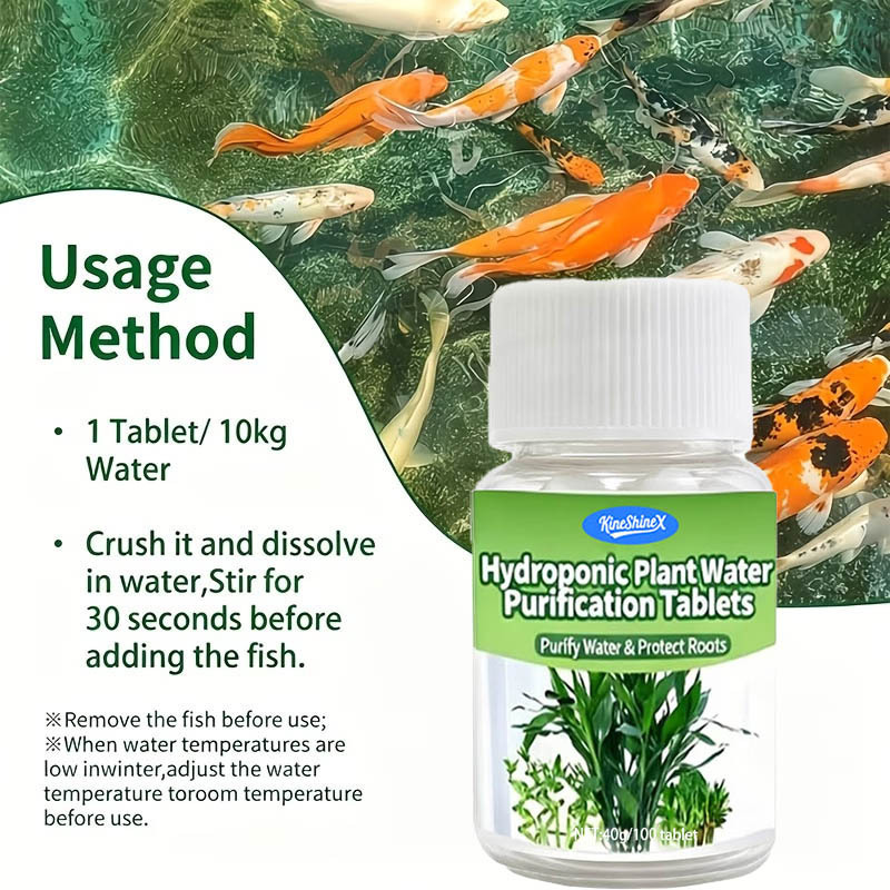 Hydroponische Wasserreinigungs – Plant Aquarium Pot Bewertung und Preis