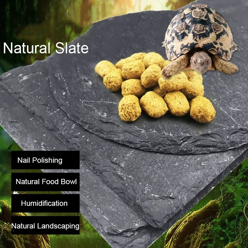 Natürliche Schiefer Aquarium H – Aquarium Driftwood Bewertung und Preis