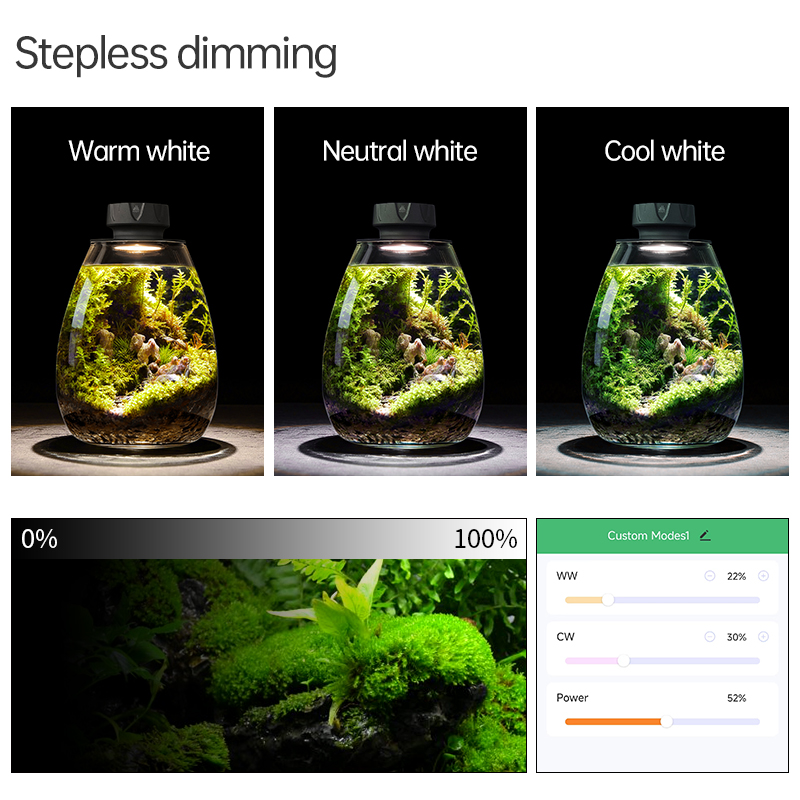 COB Microlandscape Pflanze Fül – Planted Tank Bewertung und Preis