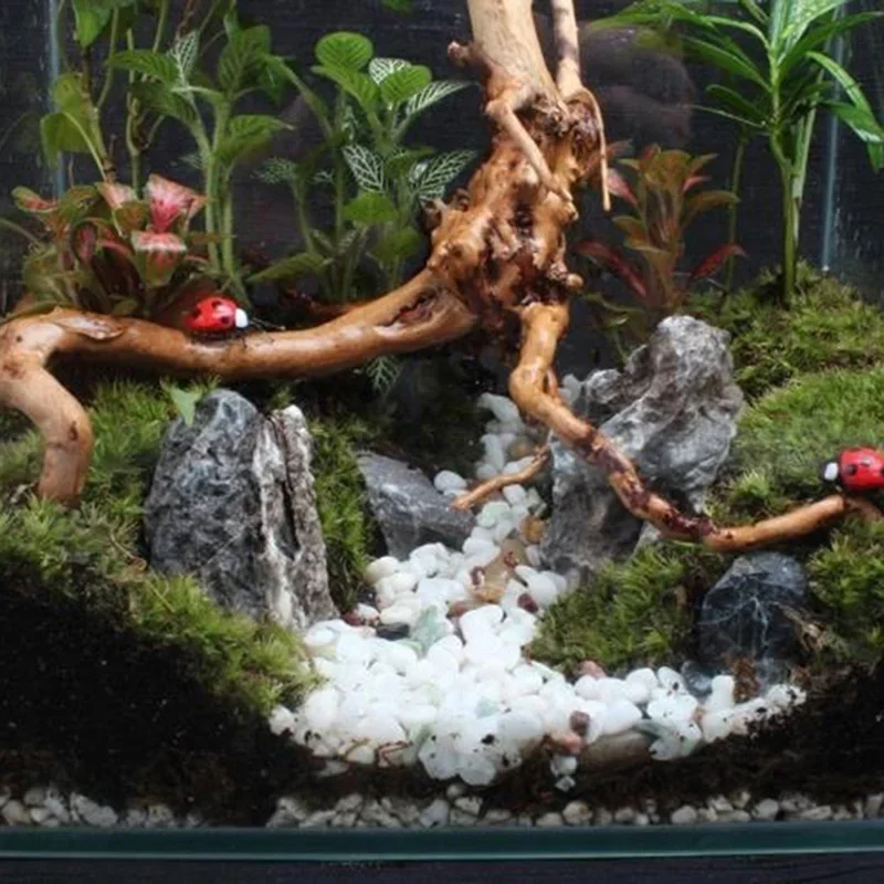 Natürlicher Baumstamm Treibhol – Aquarium Driftwood Bewertung und Preis