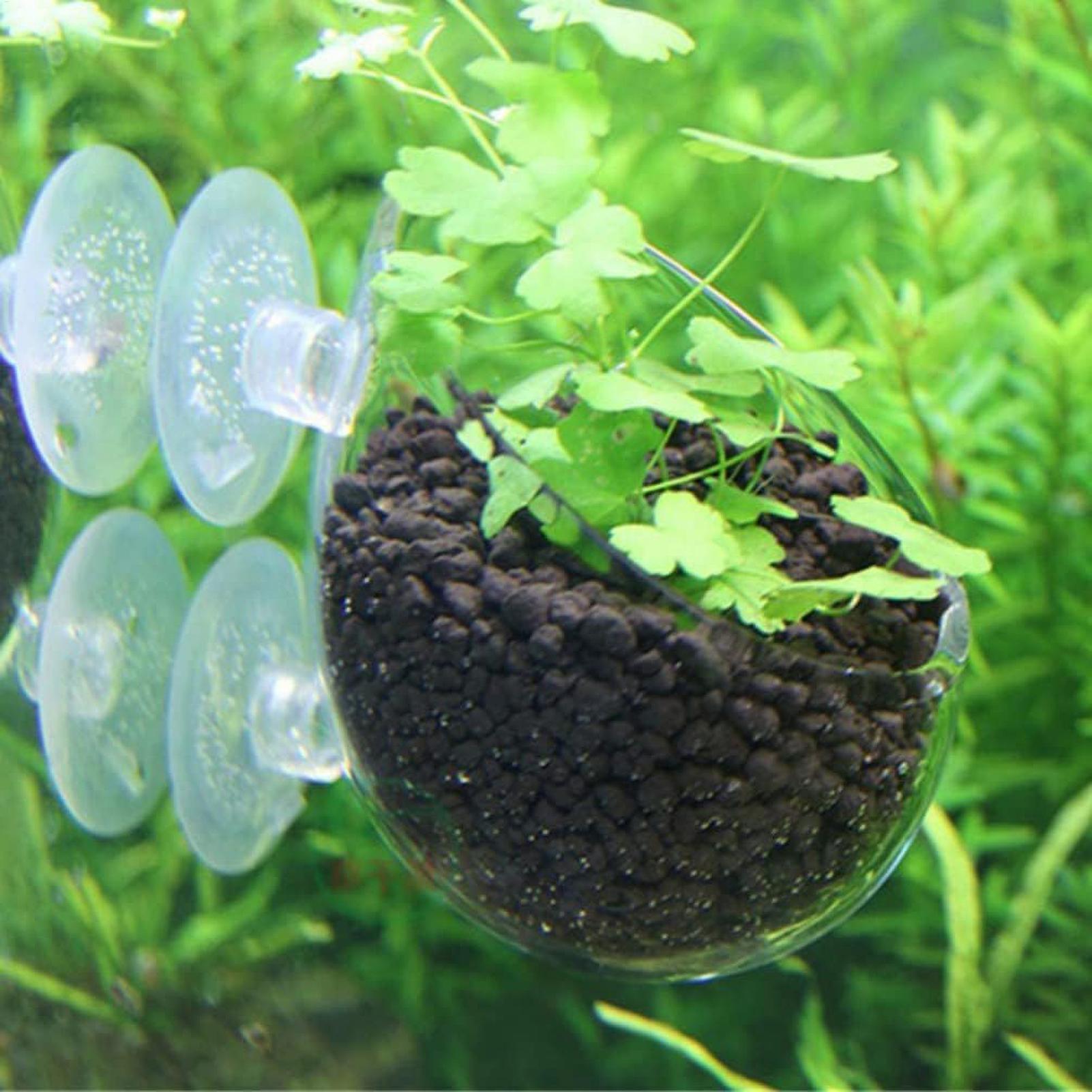 Aquarium-Pflanzenhalter Glas-W – Live Plant Aquarium Bewertung und Preis