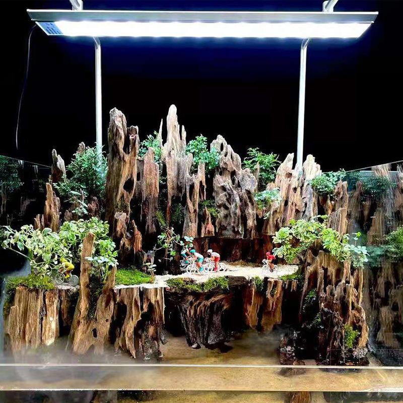 Garnelen-Holz-Aquarium-Dekorat – Aquarium Driftwood Bewertung und Preis