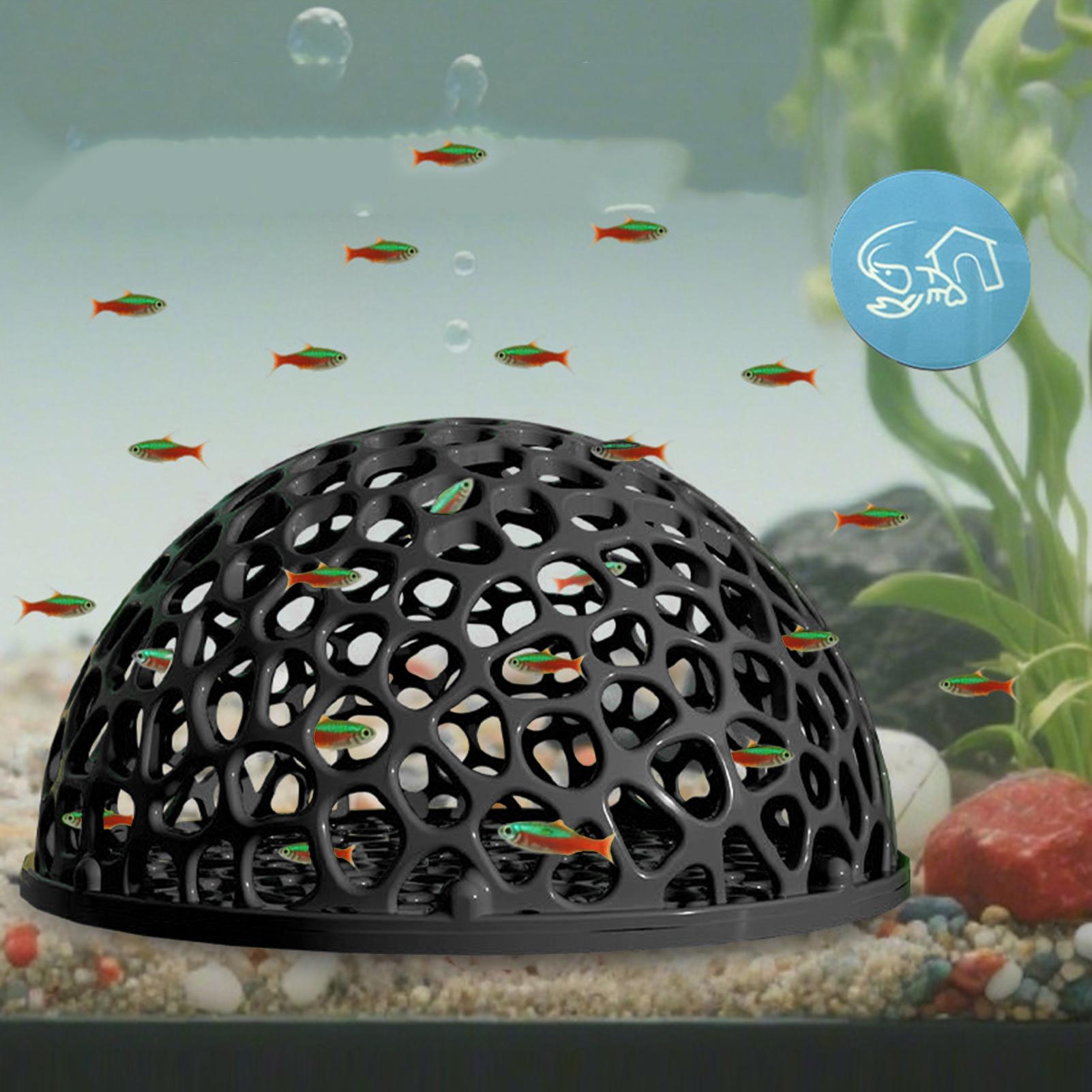 Aquarium-Hiden-Höhlenunterstan – Aquarium Plants Live Bewertung und Preis