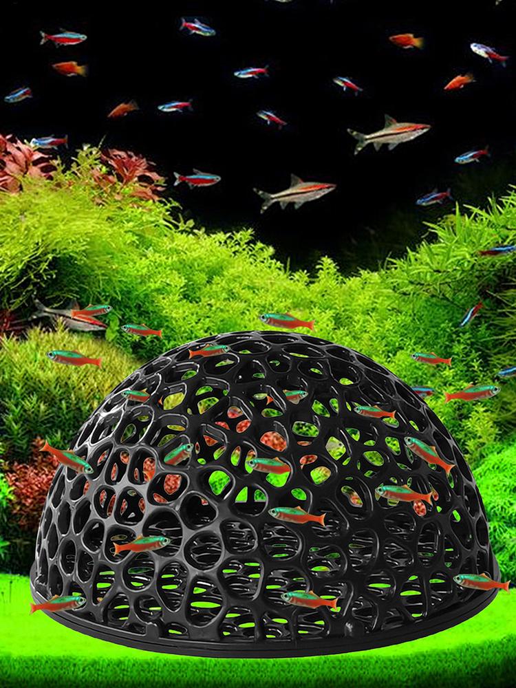 Aquarium-Hiden-Höhlenunterstan – Aquarium Plants Live Bewertung und Preis