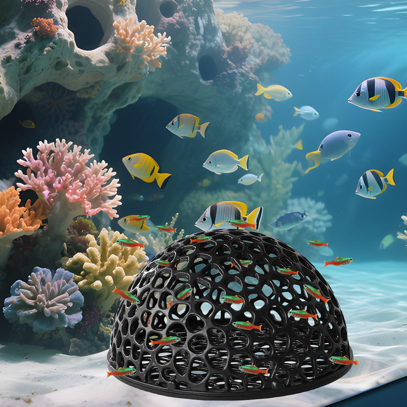 Aquarium-Hiden-Höhlenunterstan – Aquarium Plants Live Bewertung und Preis