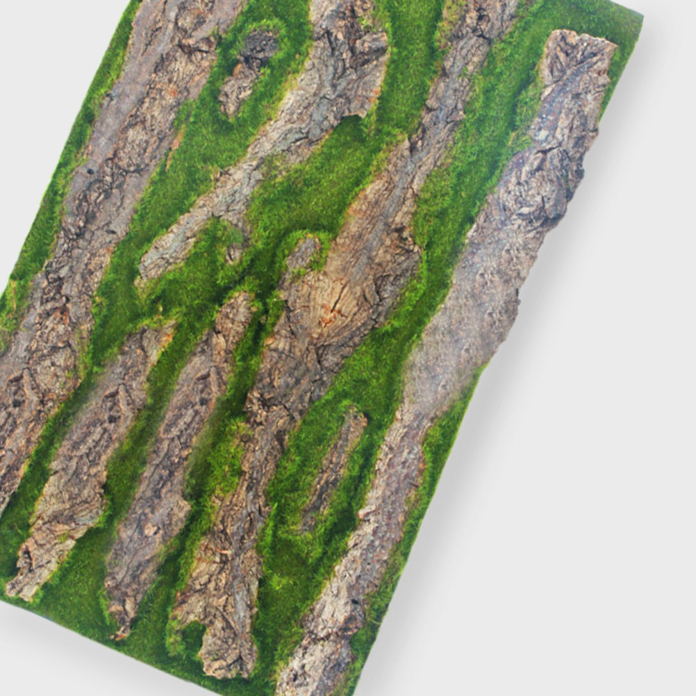 3D Aquarium-Hintergrundtafel m – Aquarium Moss Bewertung und Preis