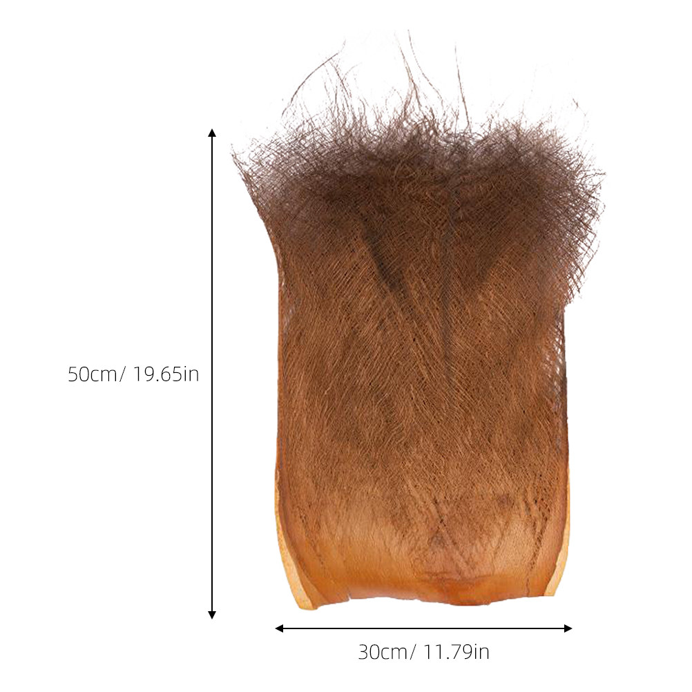 5 Blatt zarte Palmenblätter un – Plant Aquarium Pot Bewertung und Preis