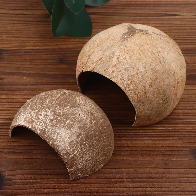 Kokosnuss-Hütte als Dekoration – Aquarium Driftwood Bewertung und Preis