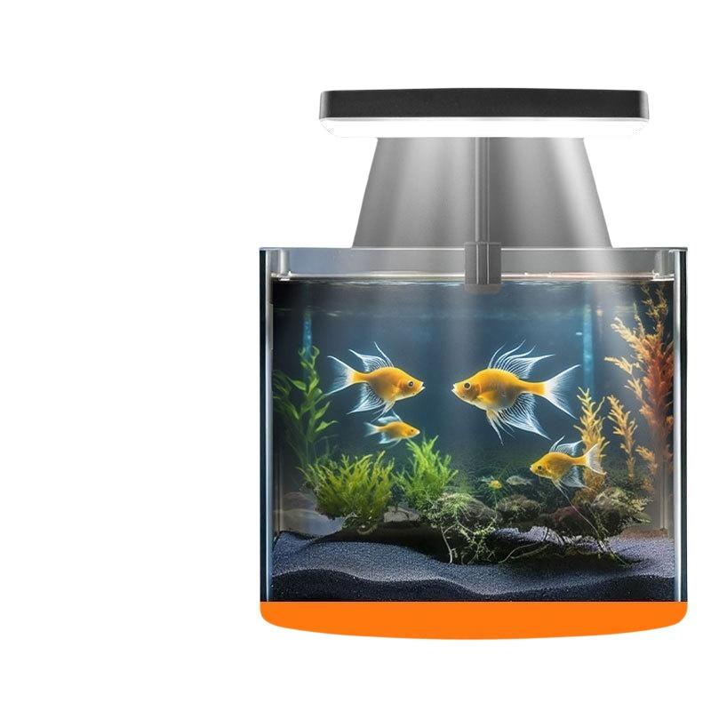 USB-Aquarium-Clipleuchte mit F – Planted Tank Bewertung und Preis