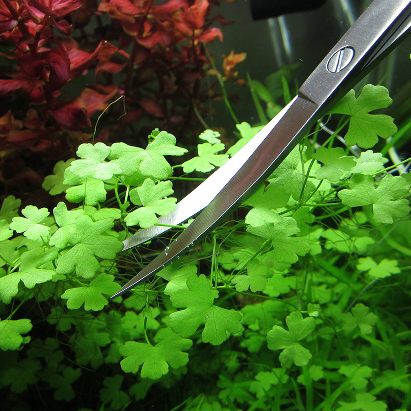 Aquarium Zubehör Hart Edelstah – Planted Aquarium Cleaning Bewertung und Preis
