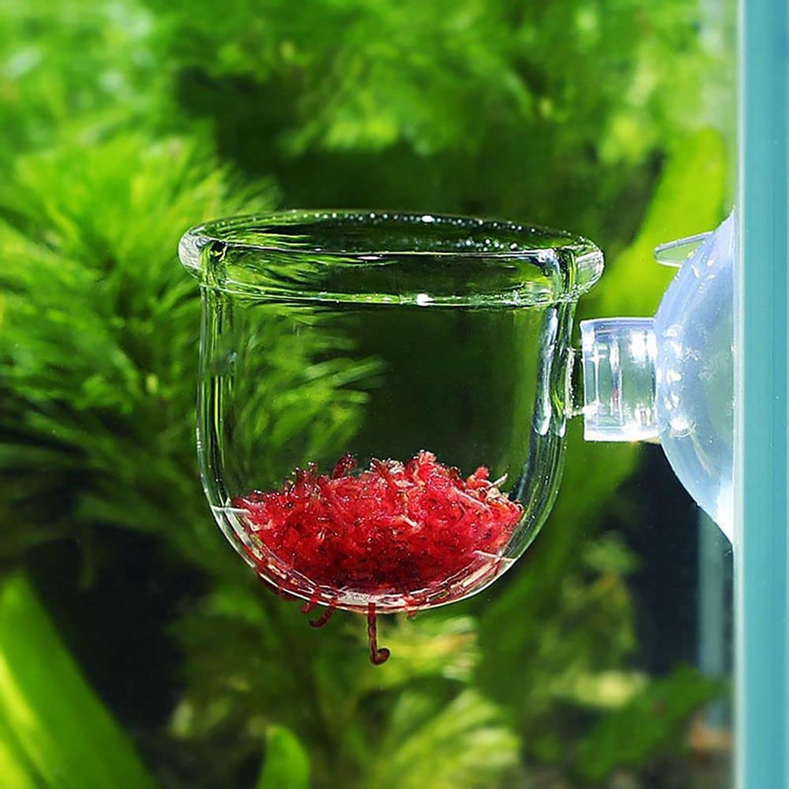 Aquarium-Dekorationspflanzen-T – Plant Aquarium Pot Bewertung und Preis
