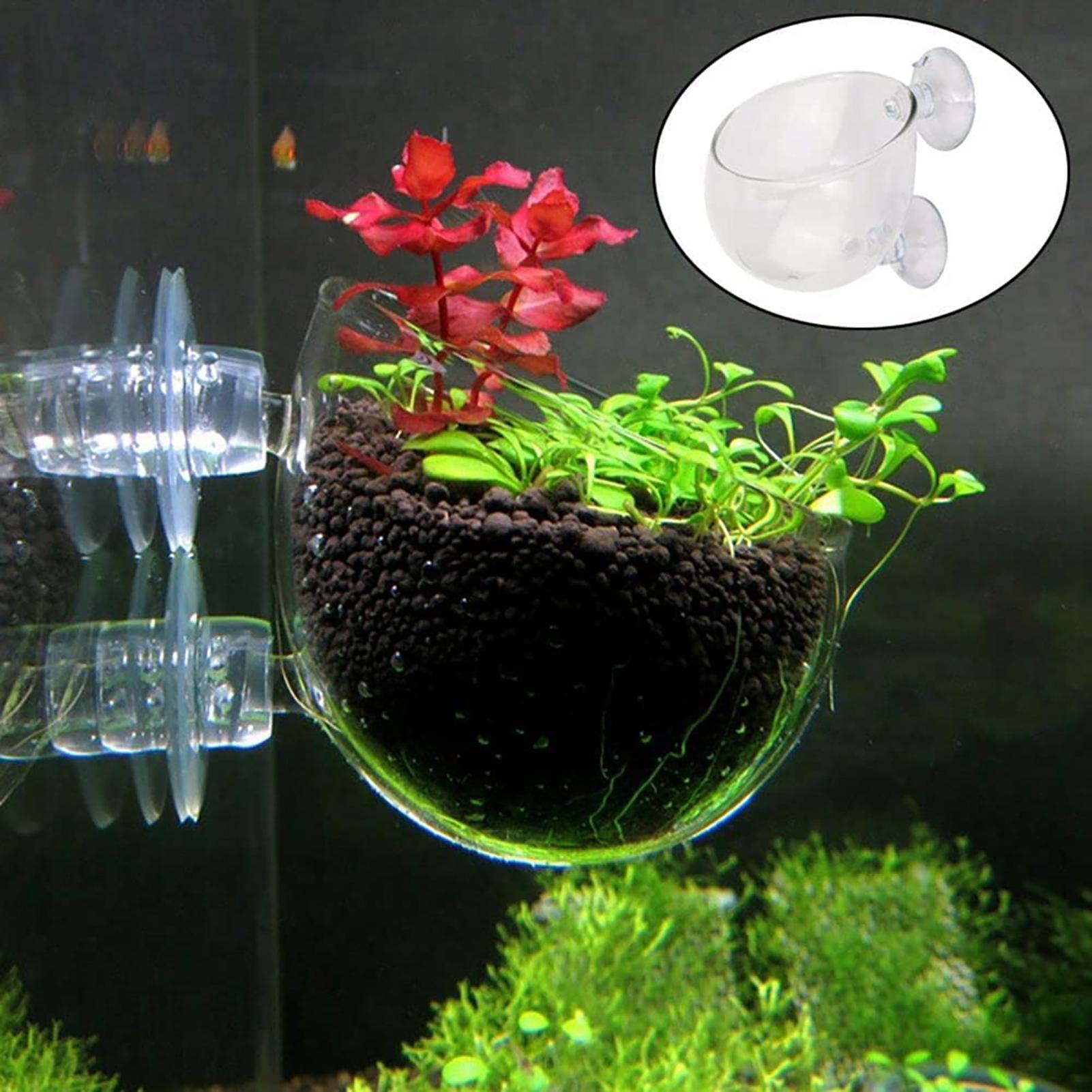 Aquarium-Dekorationspflanzen-T – Plant Aquarium Pot Bewertung und Preis