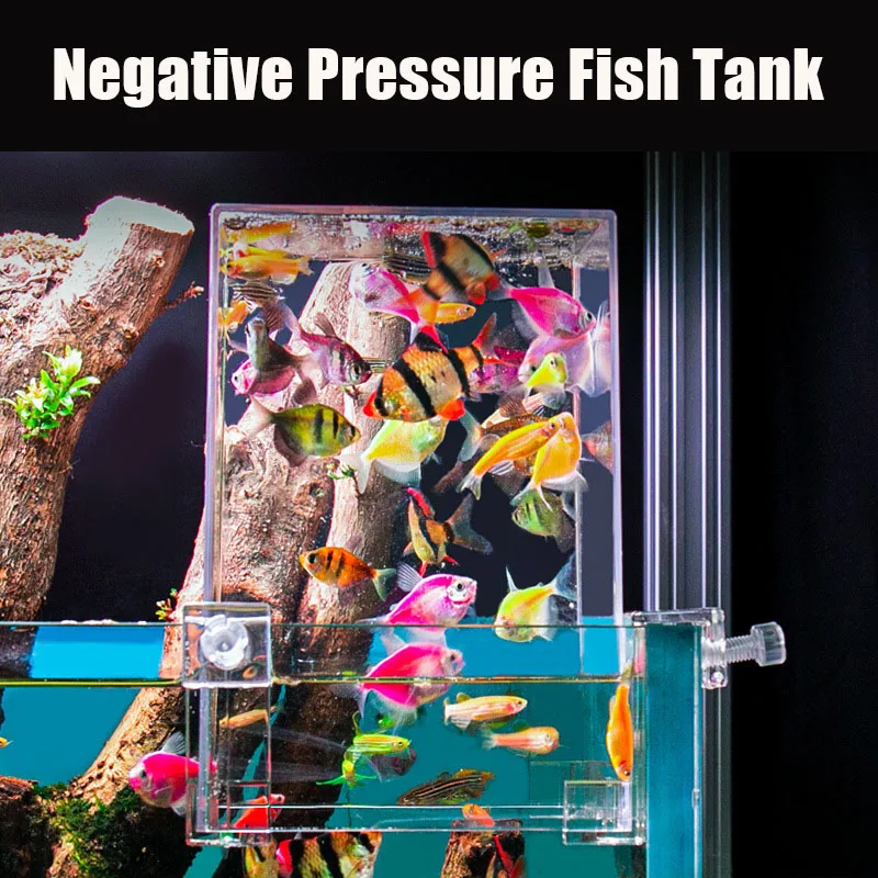Kreative Aquarien Tanks Unterd – Plant Aquarium Pot Bewertung und Preis