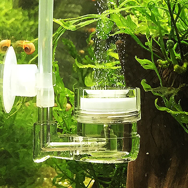 Aquarium 4-in-1 CO2-Diffusor,  – Live Plant Aquarium Bewertung und Preis
