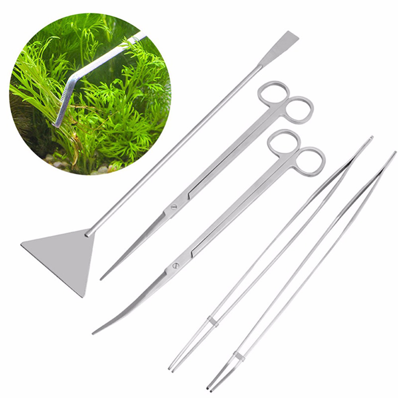 Professionelles Aquarium-Wartu – Aquarium Plants Live Bewertung und Preis