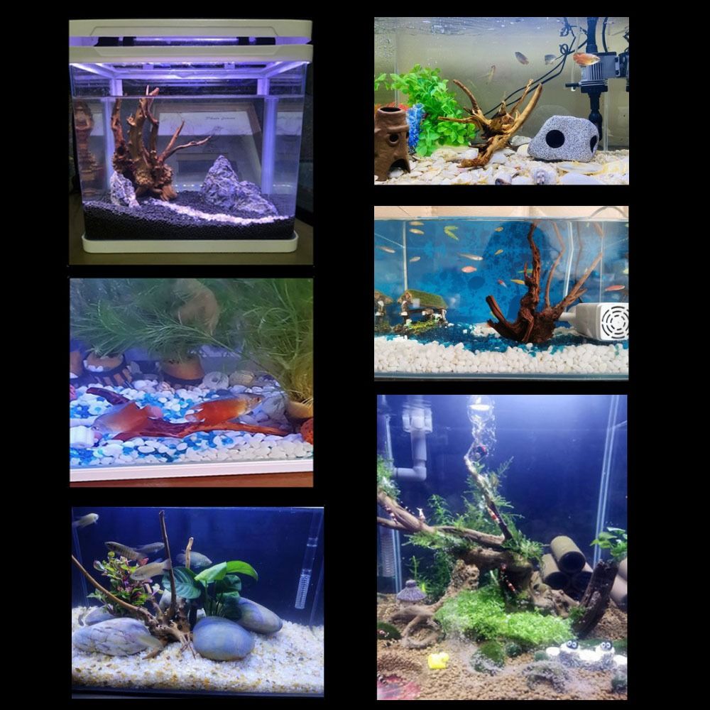 20-25CM Großes Aquarium-Treibh – Aquarium Driftwood Bewertung und Preis