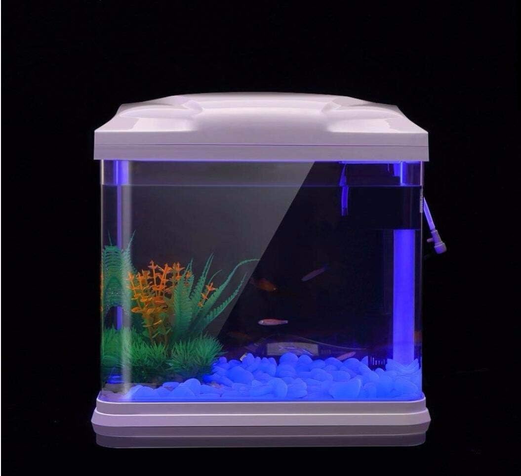 Aquarium-Felsen leuchten blaue – Plant Aquarium Pot Bewertung und Preis