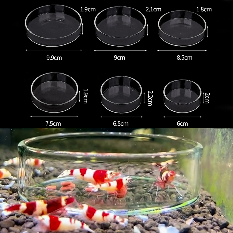 Garnelen Futternapf Hohe Trans – Aquarium Fertilizer Bewertung und Preis