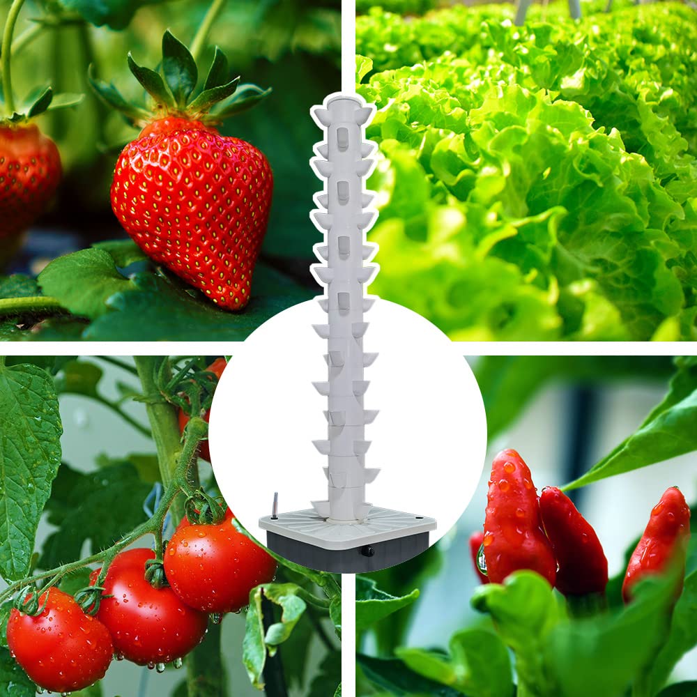 Vertikaler Hydroponischer Anba – Planted Tank Bewertung und Preis