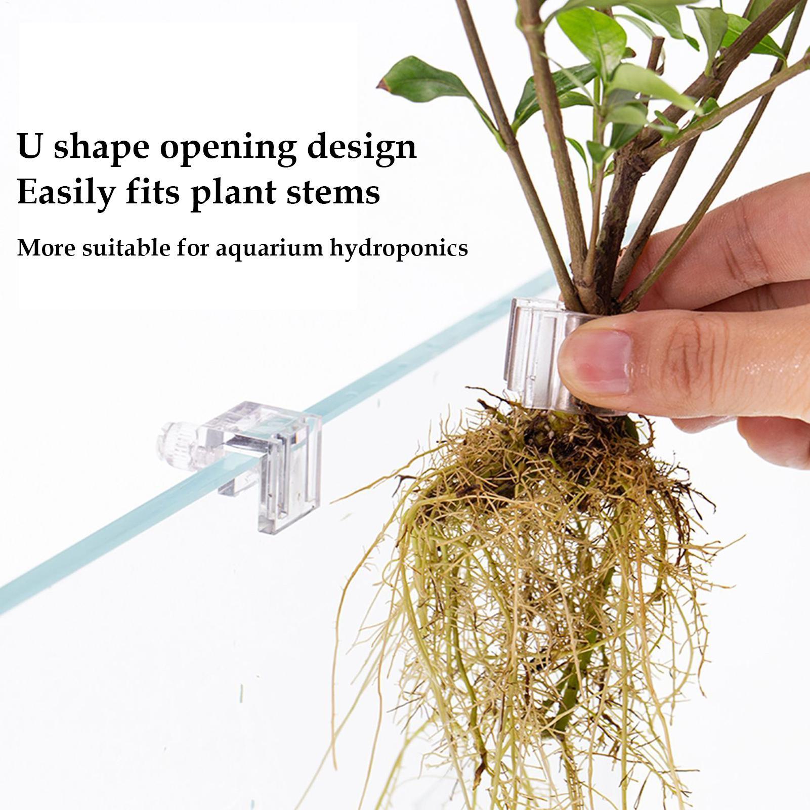 Mini-Aquarium-Pflanztopf 6 Stü – Aquarium Fertilizer Bewertung und Preis