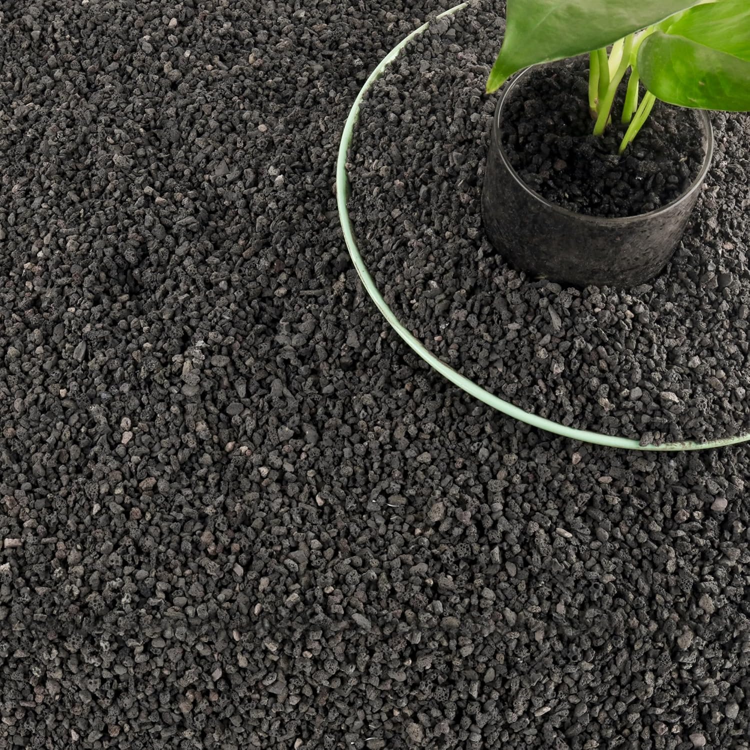 3 Pfund schwarzes Filtermateri – Plant Aquarium Pot Bewertung und Preis