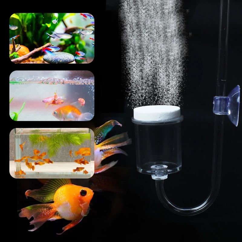 4 stücke Set DIY CO2-Diffusor  – Live Plant Aquarium Bewertung und Preis