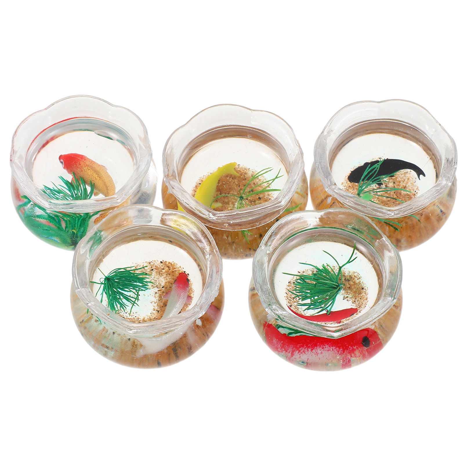 5 Stück Miniatur-Koi-Aquarium: – Planted Tank Bewertung und Preis