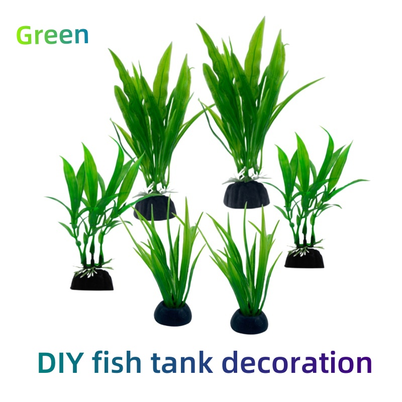 6er-Pack Aquariumpflanzen, grü – Aquarium Plants Live Bewertung und Preis