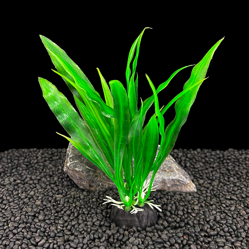 6er-Pack Aquariumpflanzen, grü – Aquarium Plants Live Bewertung und Preis