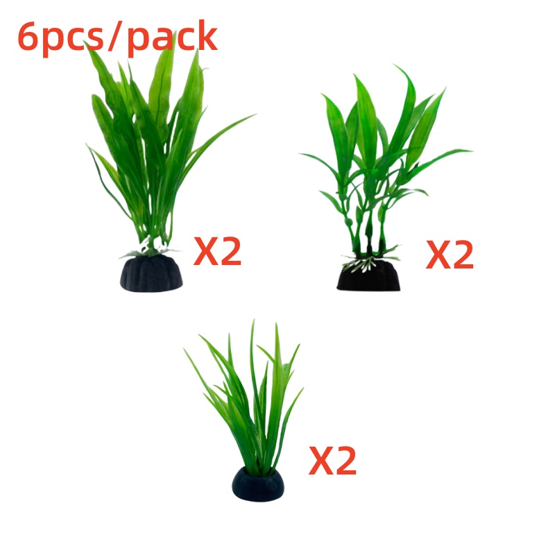 6er-Pack Aquariumpflanzen, grü – Aquarium Plants Live Bewertung und Preis